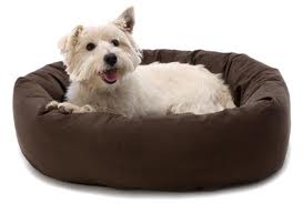 dog bed Services